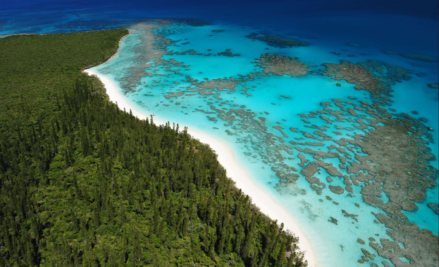 Quelle Heure Est Il A Nouméa Vol Auckland - Nouméa | Aircalin