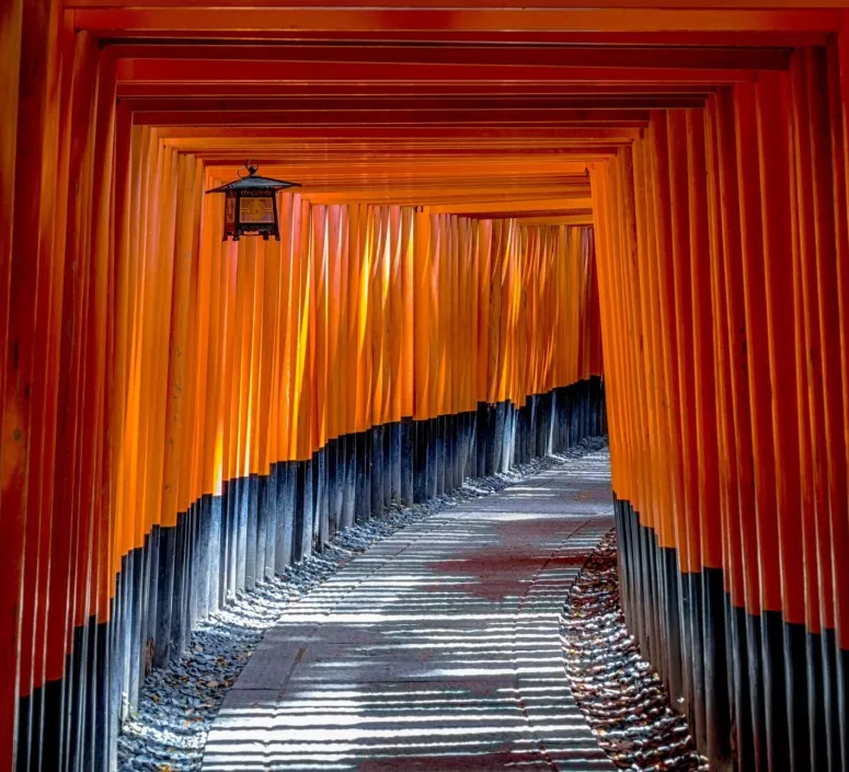 Japon-Couloir de Kytoto Japon Couloir Chemin fushimi inari shrine Kyoto