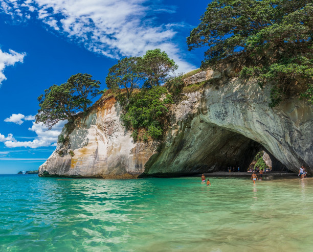 NZ NZ