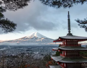 Tokyo Mont Fuji Paysage Japon