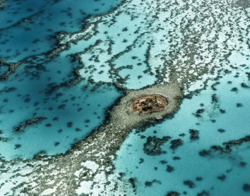 Survol du lagon Lagon Survol Patate Corail