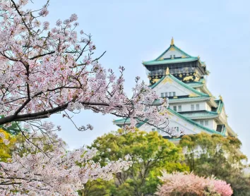 Château d'Osaka Château Osaka Cerisier Japon