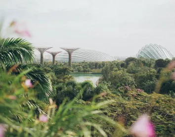 Jardins de Singapour Jardins Singapour Arbres Natures Fleures Paysage
