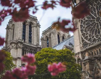 Cathédrale Notre Dame de Paris Cathédrale-Notre_Dame Paris Fleures Arbres