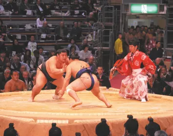 sumo le sport de lutte japonais